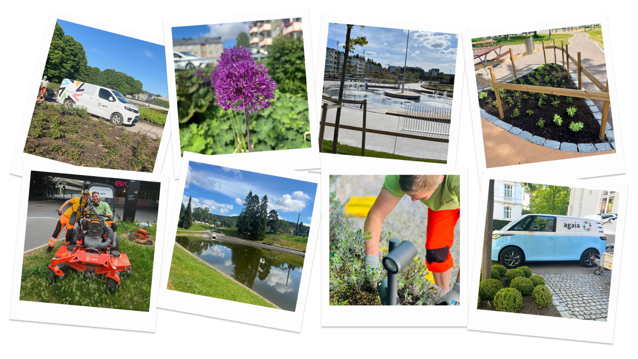 Bilder fra Agaias prosjekter. Lastet opp av ansatte i appen. Foto.